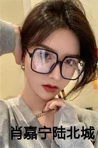 肖嘉宁,陆北城完结篇