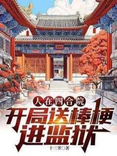 人在四合院,开局送棒梗进监狱