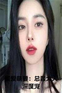 蜜爱萌妻:总裁大人深度宠小说