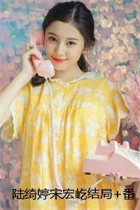 陆绮婷宋宏屹结局+番外:废墟之下已无爱小说