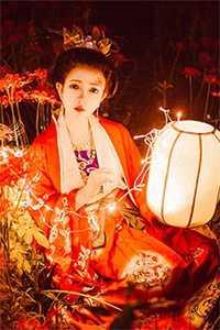 凤凰之翼与机械之心的永恒传说