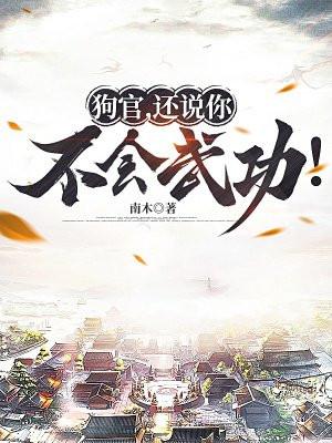狗官,还说你不会武功!