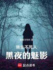 转生不死人,黑夜的魅影