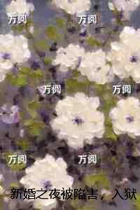 新婚之夜被陷害,入狱归来一无所有:+后续+结局