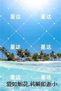 爱如烟花转瞬即逝小说全文:结局+番外