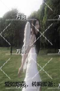 爱如烟花,转瞬即逝:完结版免费在线阅读