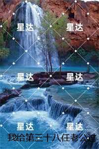 我给第三十八任老公过喜纯净版:结局+番外好文分享