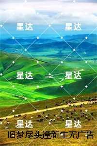 旧梦尽头逢新生无广告:结局+番外