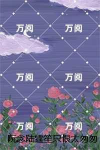阮念陆霆笙只恨太匆匆:结局+番外