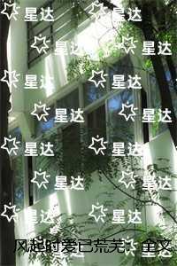风起时爱已荒芜:完结+番外