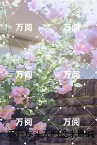落日尽头无归途:后续更新+番外