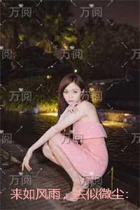 来如风雨,去似微尘:+结局+番外
