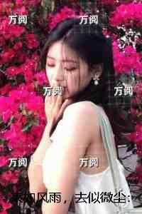 来如风雨,去似微尘:独家整理