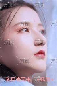 剜月寄无书:全文无删减