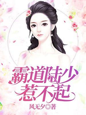 霸道陆少惹不起