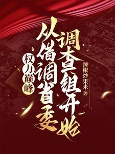 权力巅峰:从借调省委调查组开始