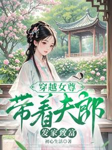 穿越女尊,带着夫郎发家致富