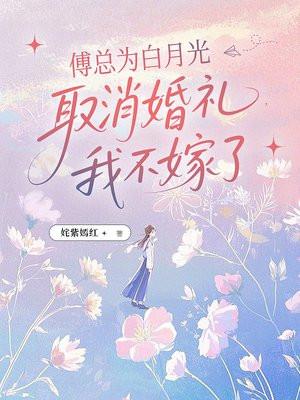 傅总为白月光取消婚礼,我不嫁了